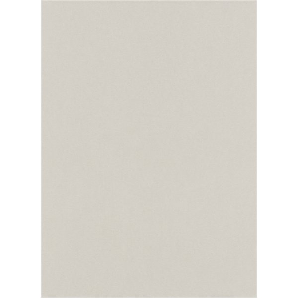 DECOR DESIGN - 6342-37 Liasse Best S1 VGI Uni Taupe Clair 2019