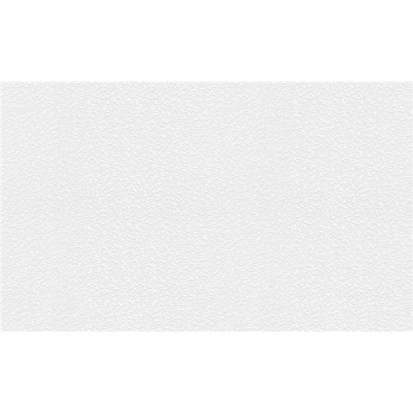 ERISMANN ET CIE - 5364-01 - Revêtement à Peindre Intissé RollOver Déco