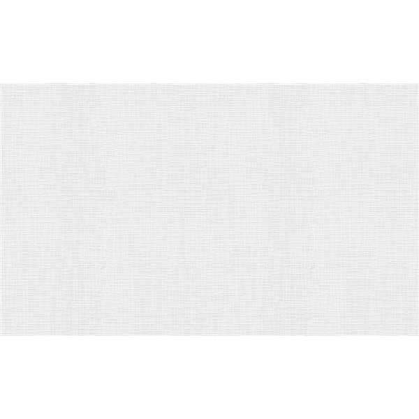 ERISMANN ET CIE - 5367-01 - Revêtement à Peindre Intissé RollOver Déco