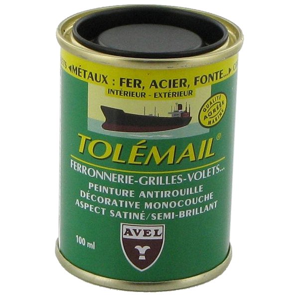 TOLEMAIL - Tolémail Spécial Ferronnerie 100ml gris