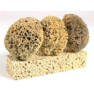 PAD - Lot de 2 Éponges Gros Travaux et de 3 Éponges Naturelles