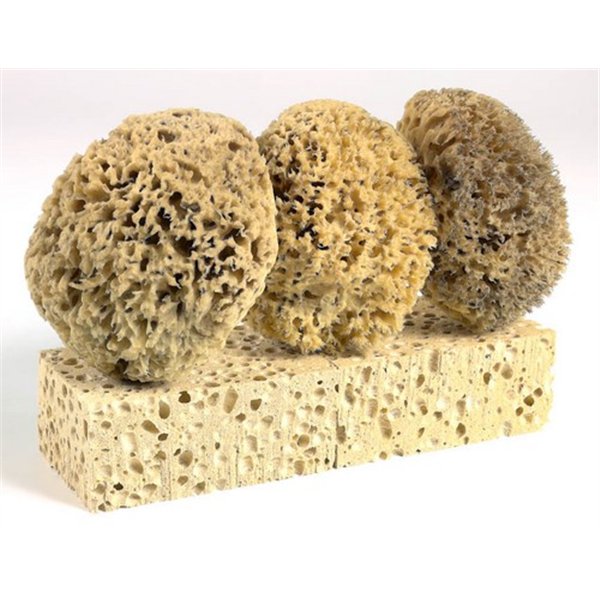 PAD - Lot de 2 Éponges Gros Travaux et de 3 Éponges Naturelles