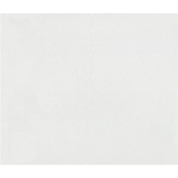 DECORAMA - 5713 Patent Froissé Green Label CJ 10.05x0.75m7.54m²