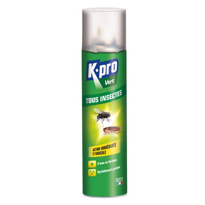 KAPO - Aérosol Tous Insectes au Pyrèthre 300ml