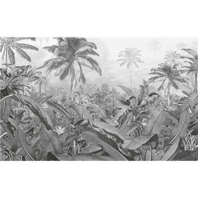 KOMAR - Papier Peint Panoramique Amazonia Black and White 400 x 250cm