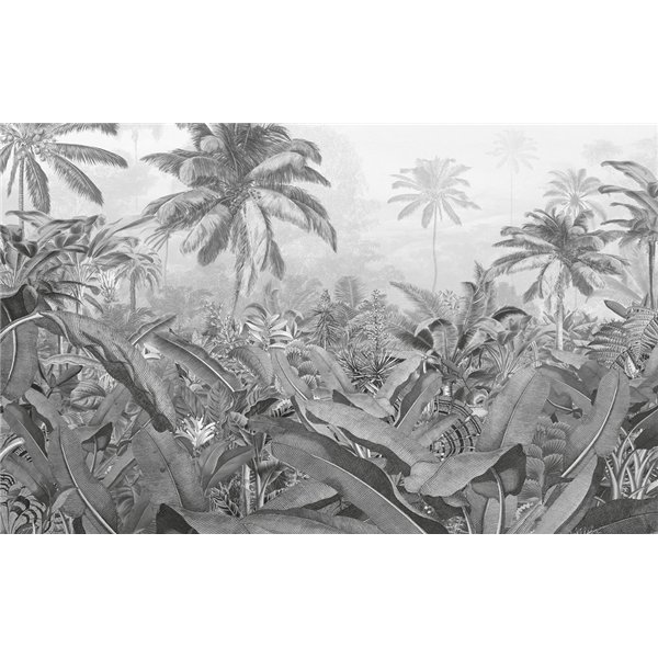 KOMAR - Papier Peint Panoramique Amazonia Black and White 400 x 250cm