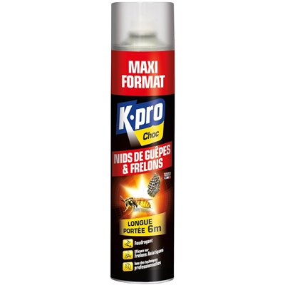 KAPO - Anti Guêpes et Frelons Foudroyant Aérosol 600ml TP18