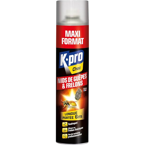 KAPO - Anti Guêpes et Frelons Foudroyant Aérosol 600ml TP18