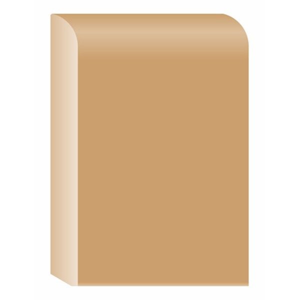 SKYLAB - Plinthe Brute PL100 100x10mm 2.40m