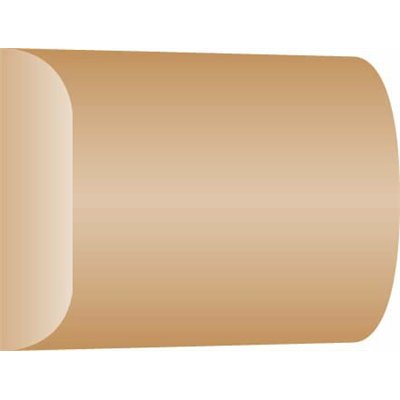 SKYLAB - Chant Plat Brut 20x5mm 2.40m