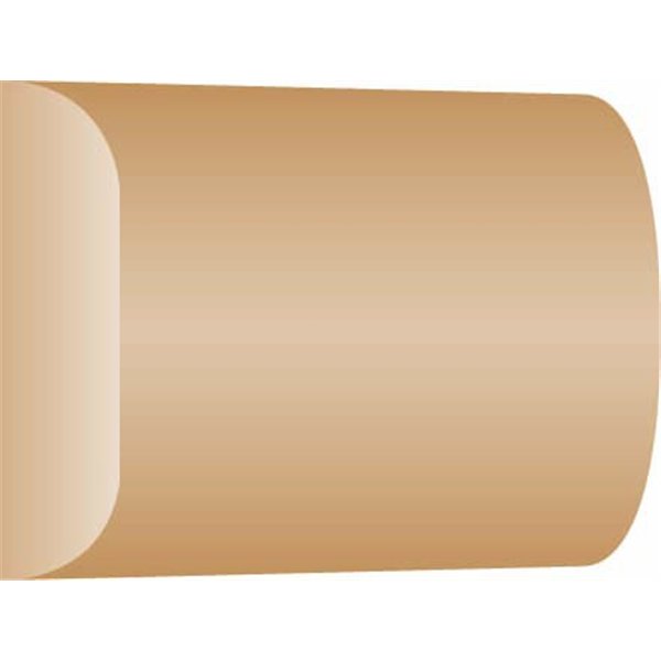 SKYLAB - Chant Plat Brut 20x5mm 2.40m