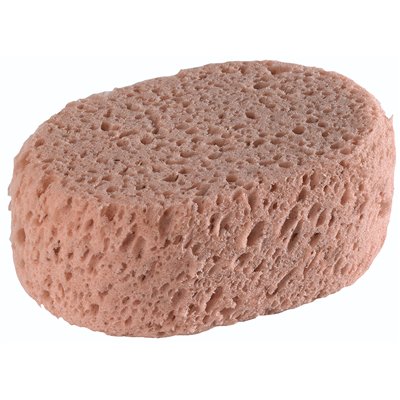 L'OUTIL PARFAIT - Éponge Synthétique Ovale Hydrograttante