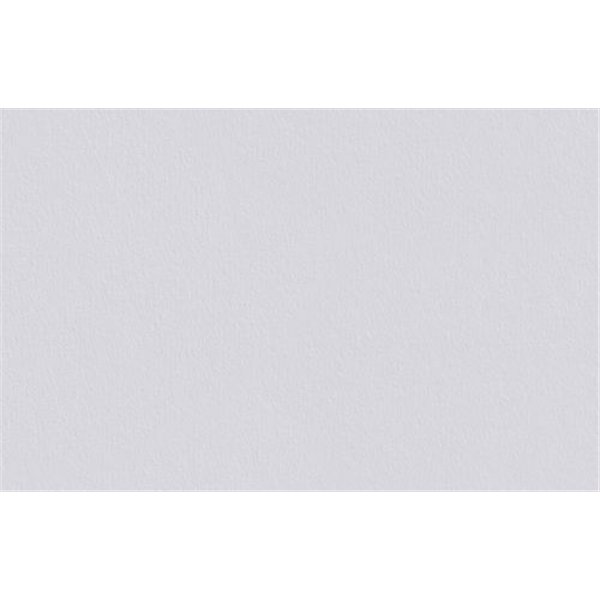 DECORAMA - 1000598 - Variovlies V 180 PRO Prépeint