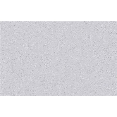 DECORAMA - 1002987 - Revêtement à Peindre Ingrain Rautex 20