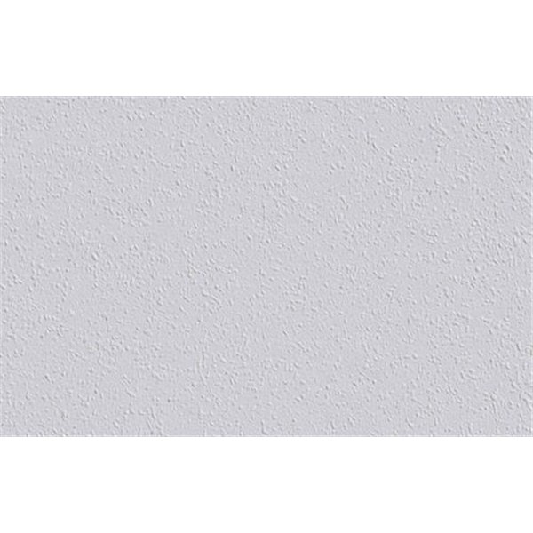 DECORAMA - 1002987 - Revêtement à Peindre Ingrain Rautex 20