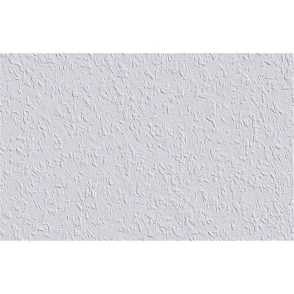 DECORAMA - 1002989 - Revêtement à Peindre Ingrain Rautex 32