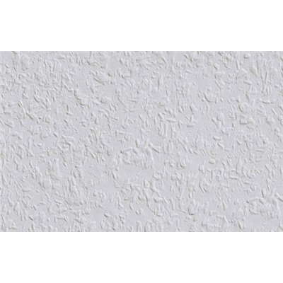 DECORAMA - 1002993 - Revêtement à Peindre Ingrain Rautex 52