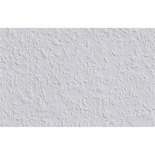 DECORAMA - 1002993 - Revêtement à Peindre Ingrain Rautex 52