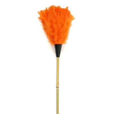 MARCY - Plumeau Dinde Jonc 70