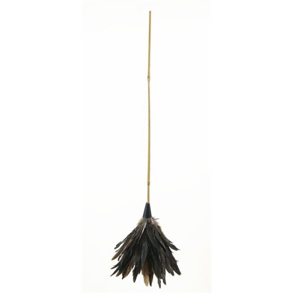 MARCY - Plumeau Coq Naturel Jonc 70