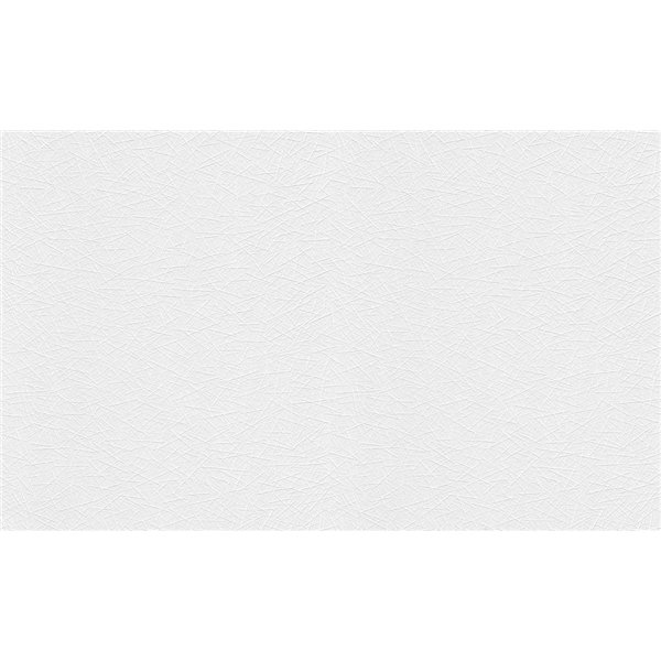 ERISMANN ET CIE - 5368-01 - Revêtement à Peindre Intissé RollOver Déco