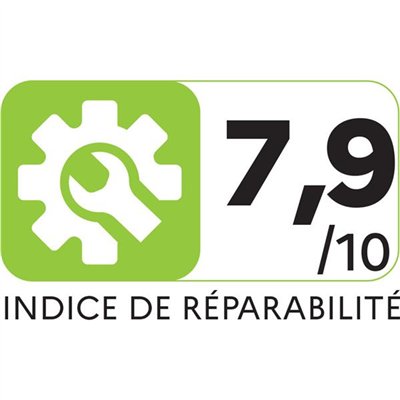 ROWENTA - Aspirateur à main - Extenso cyclonic - AC4461