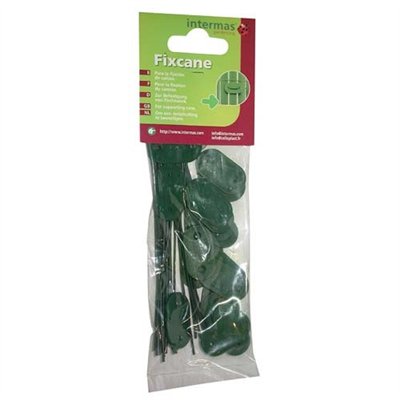 INTERMAS GARDENING - Fixation canisse Fixcane 26p blister