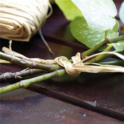 NORTENE - Raphia naturel 50 grammes