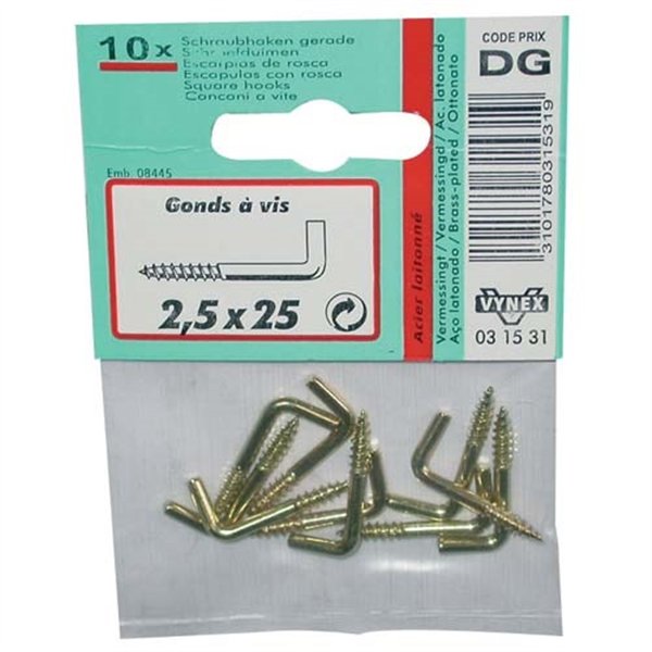 VYNEX - Gond à vis laitonné 3.5x40 SC