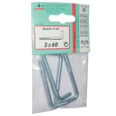 VYNEX - Gond à vis zingué 5 x60 sc
