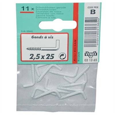 VYNEX - Gond à vis rilsanisé blanc 5 x50 sc