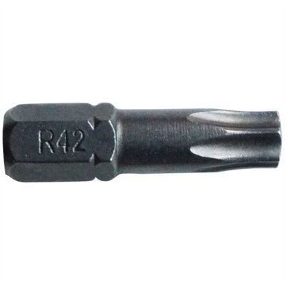 RISS - Embout torx T25 l.25mm forgé  blister de 3