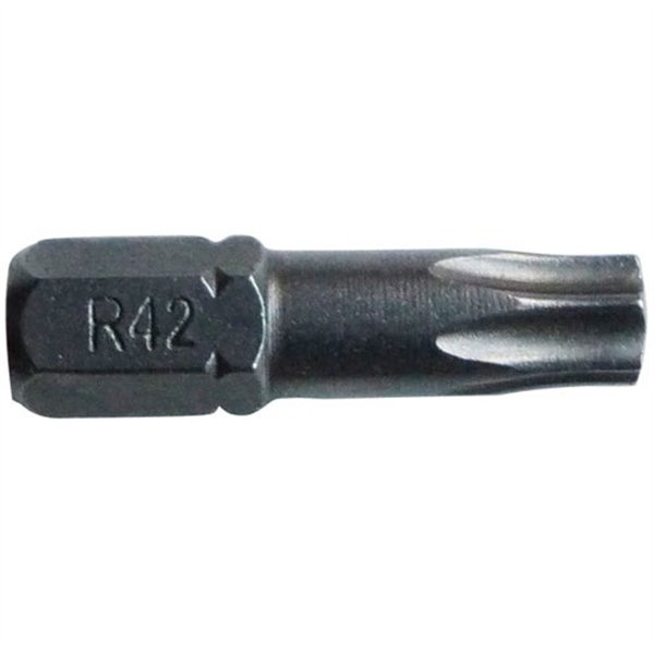 RISS - Embout torx T30 l.25mm forgé  blister de 3