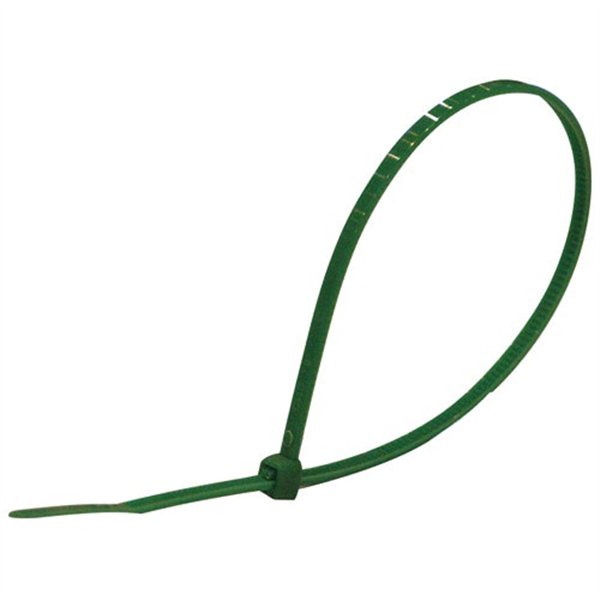 PROFILE  - Collier 200x2.5mm vert 100.sc