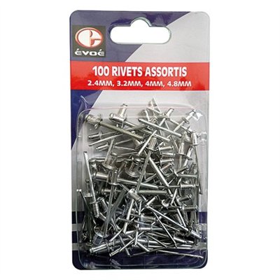 EVOE - Rivets 100 assortis