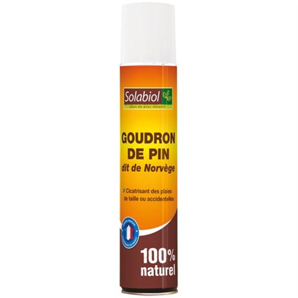 SOLABIOL - Goudron de pin aérosol 200ml