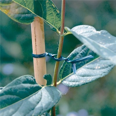 NORTENE - Lien plastique armé Nort Apfix bobine 100m vert