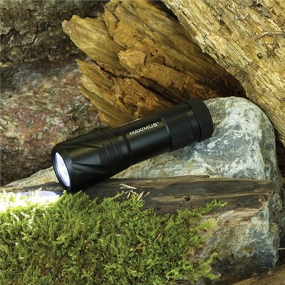 LAMPE TORCHE MAXIMUS 3W 100LMX16