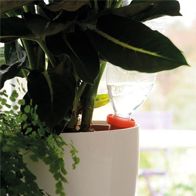 HOZELOCK - Cône arrosage céramique Aquasolo orange blister