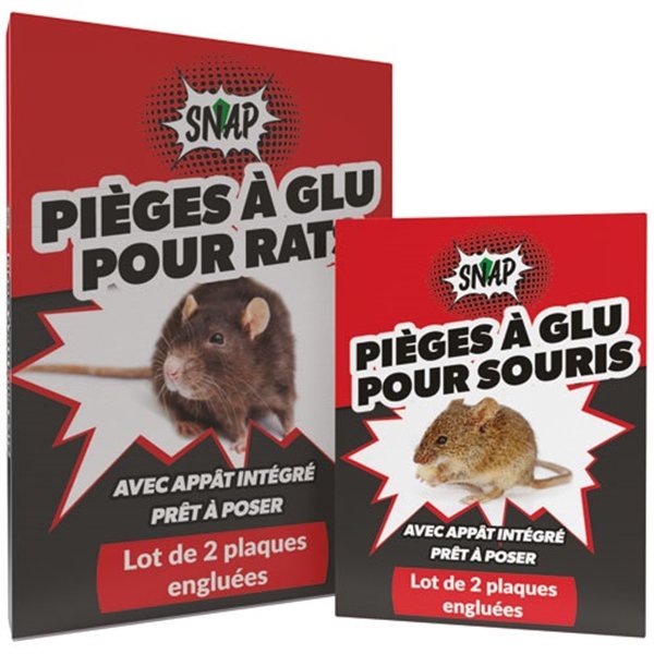 SNAP - Lot de 2 plaques glu souris rakao