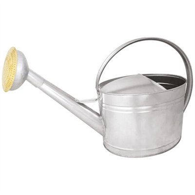 GUILLOUARD - ARROSOIR 10L ACIER GALVA - POMME GALVA GRILLE LAITON