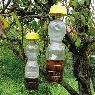 LUCIFER - Pieges à guepes pour bouteille plastique sachet de 5