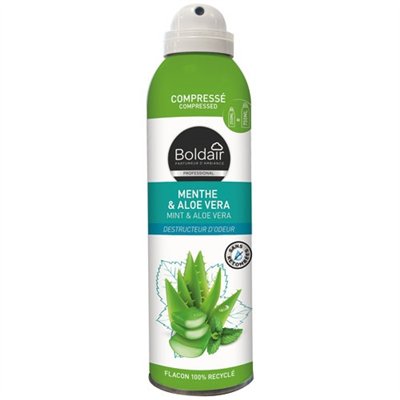 BOLDAIR - Boldair désodorisant compressé menthe et aloe 250ml