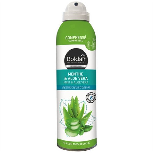 BOLDAIR - Boldair désodorisant compressé menthe et aloe 250ml