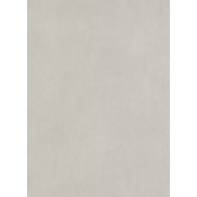 DECORAMA - 5865 - Vinyle Plat sur Papier Uni Gris