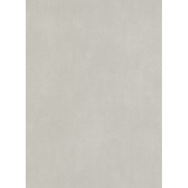 DECORAMA - 5865 - Vinyle Plat sur Papier Uni Gris