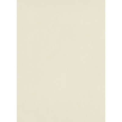 DECORAMA - 5868 - Vinyle Plat sur Papier Uni Beige