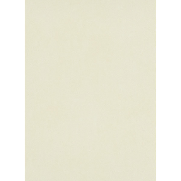 DECORAMA - 5868 - Vinyle Plat sur Papier Uni Beige
