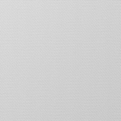 NOVELIO - Toile de Verre Standard N0101 Plafond 50x1m