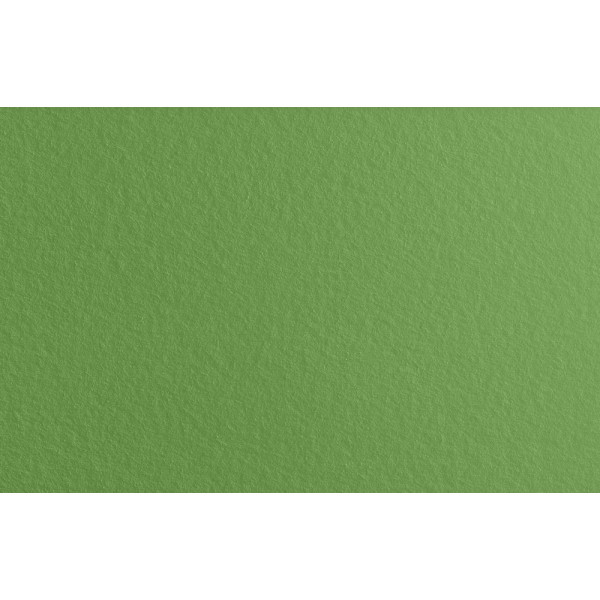 NOVELIO - Voile de Rénovation GV45 50x1m